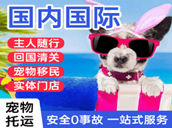 黄山屯溪机场托运国际宠物托运 【国